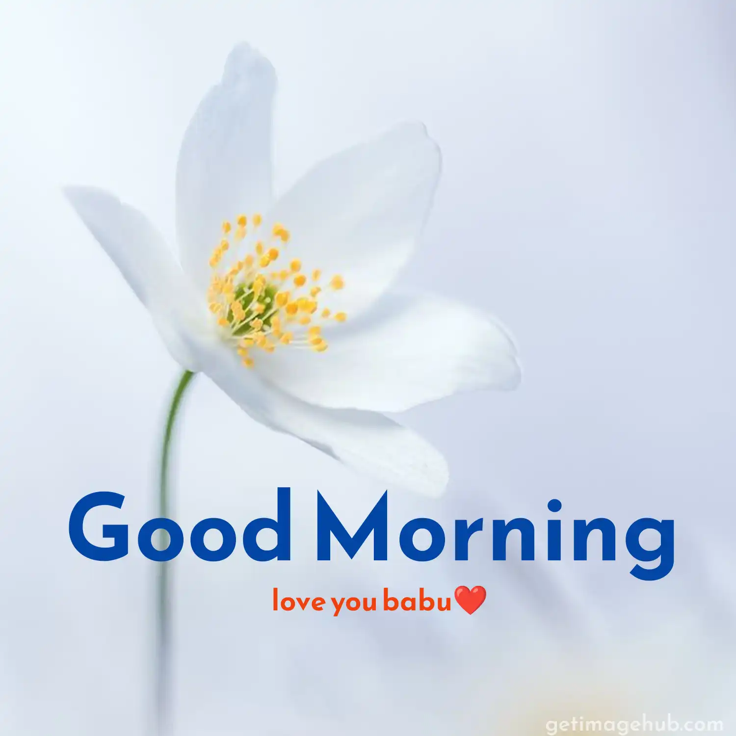 Best Good Morning Love Image