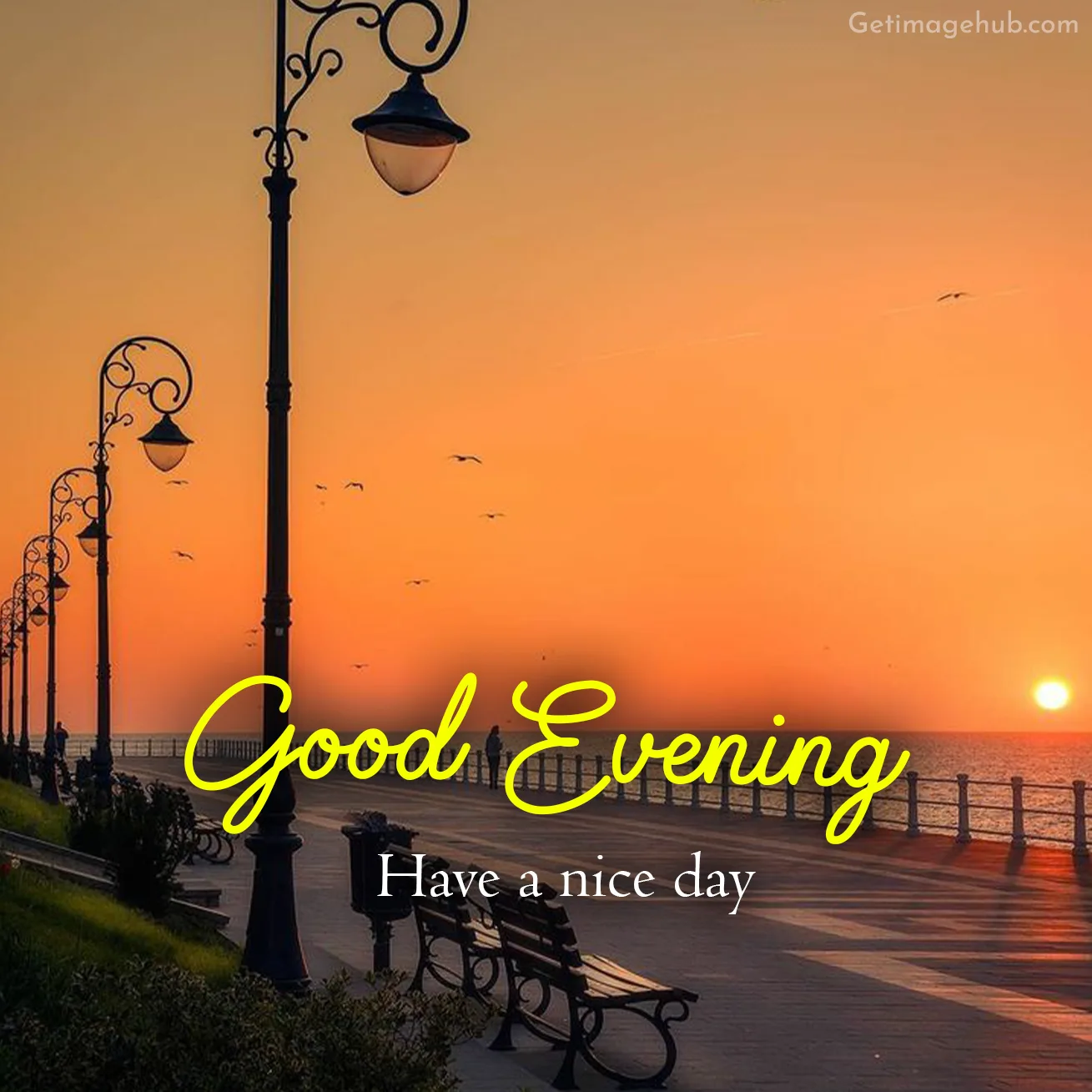 Good Evening Picture HD