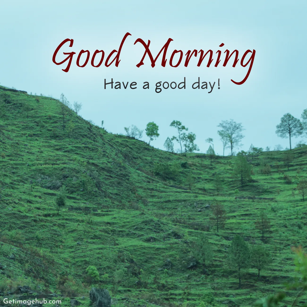 Good Morning Image HD