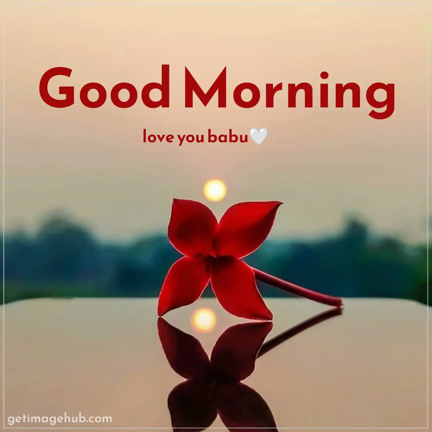 Good Morning Love Image