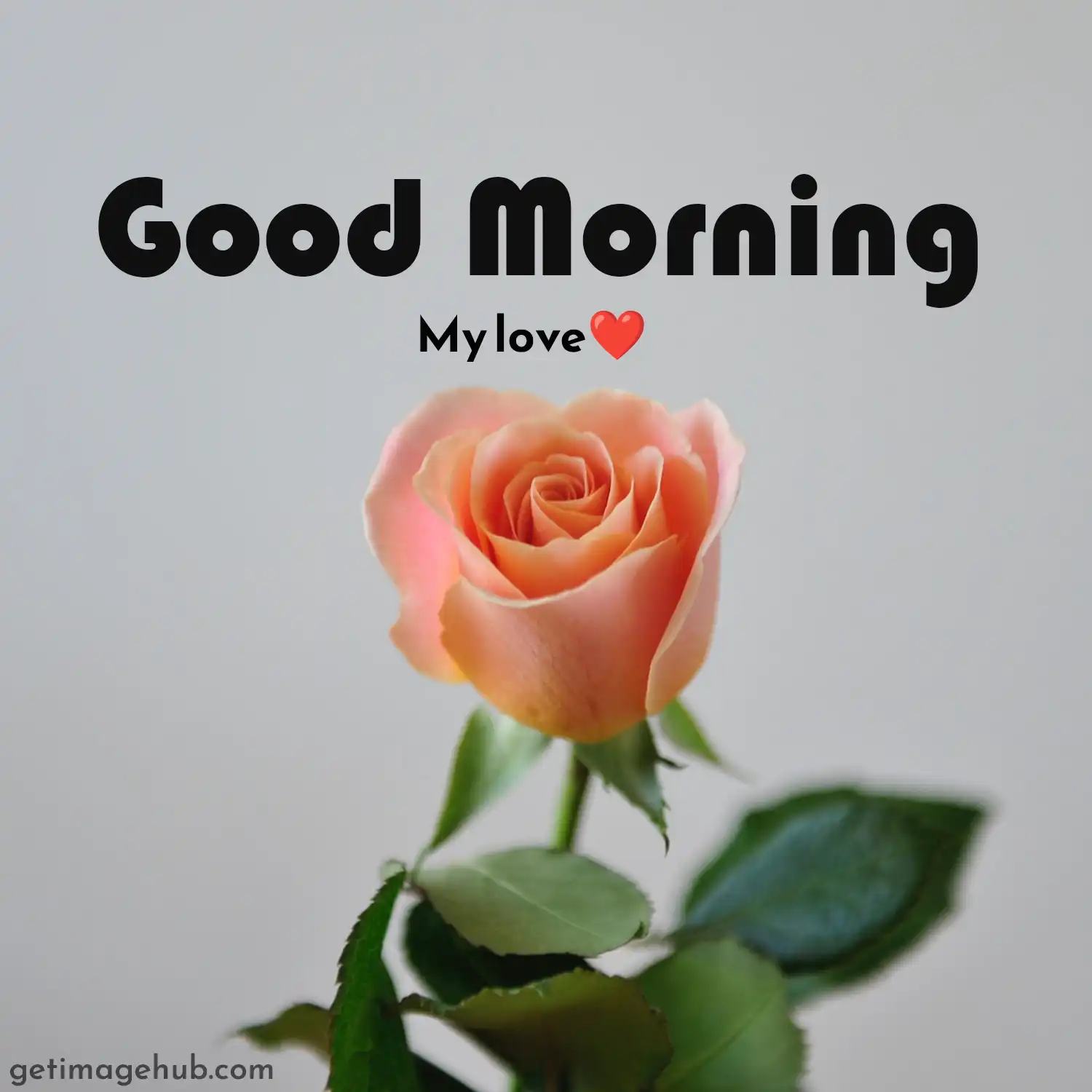 Good Morning My Love