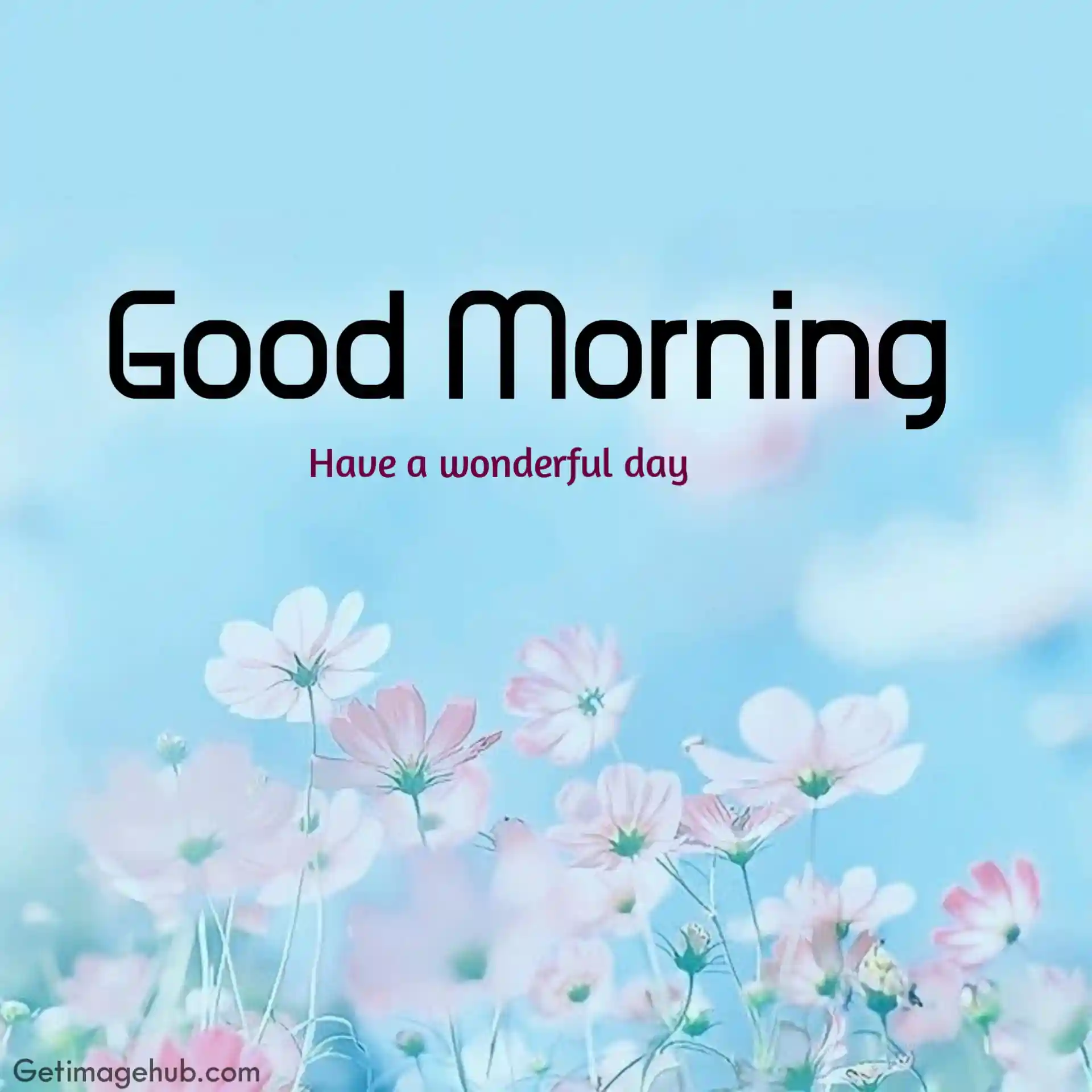 beuatiful good morning images