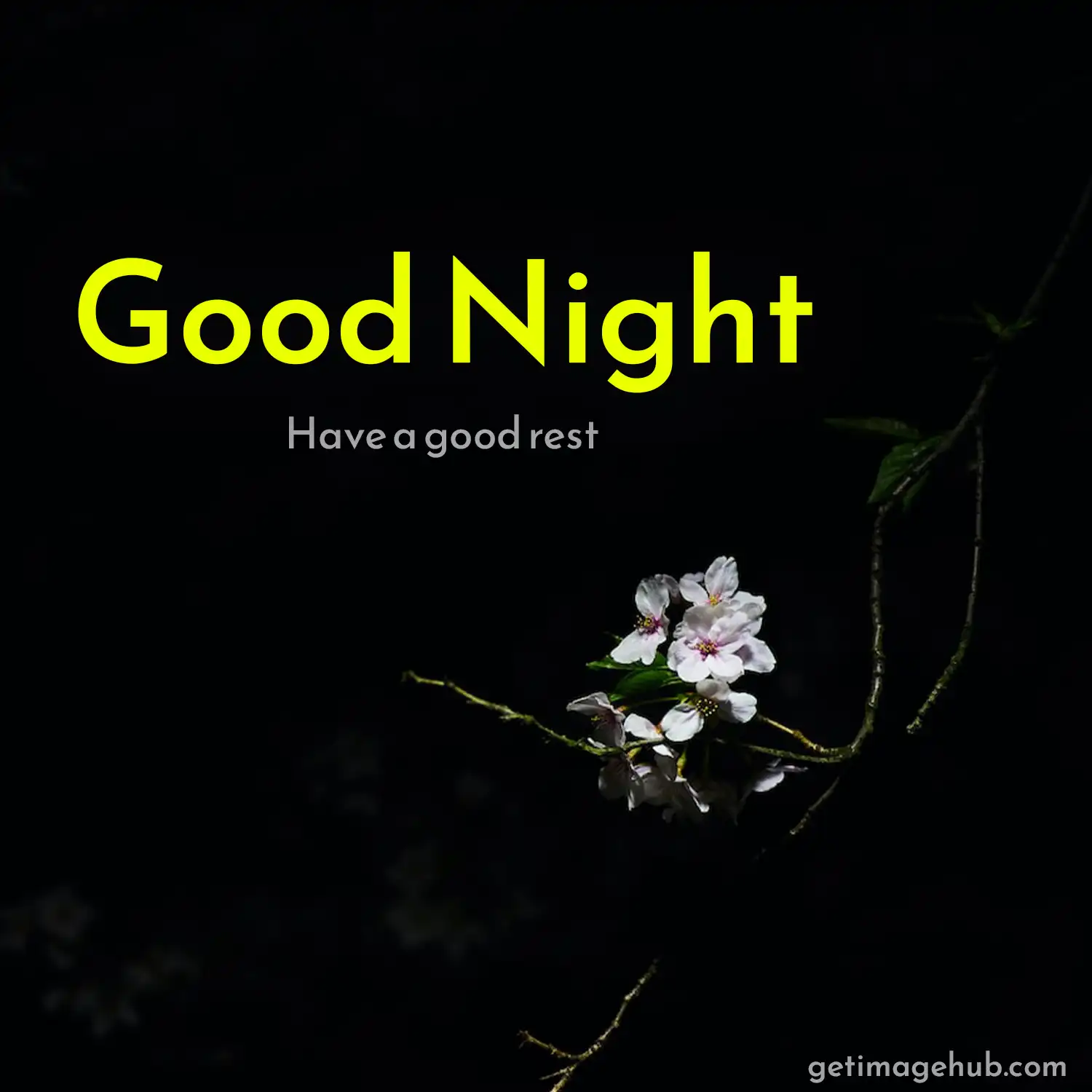 Beautiful Good Night Image