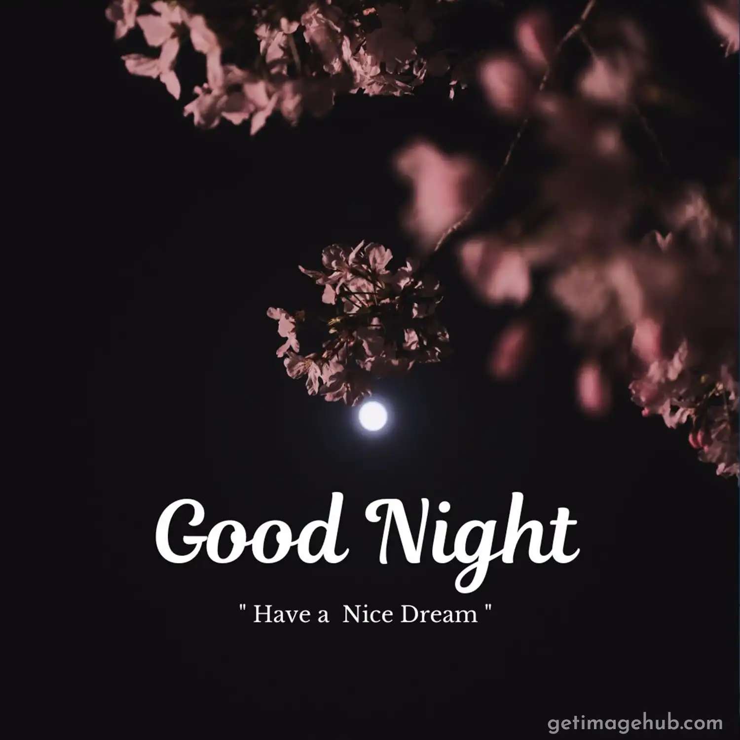 Beautiful Good Night Image