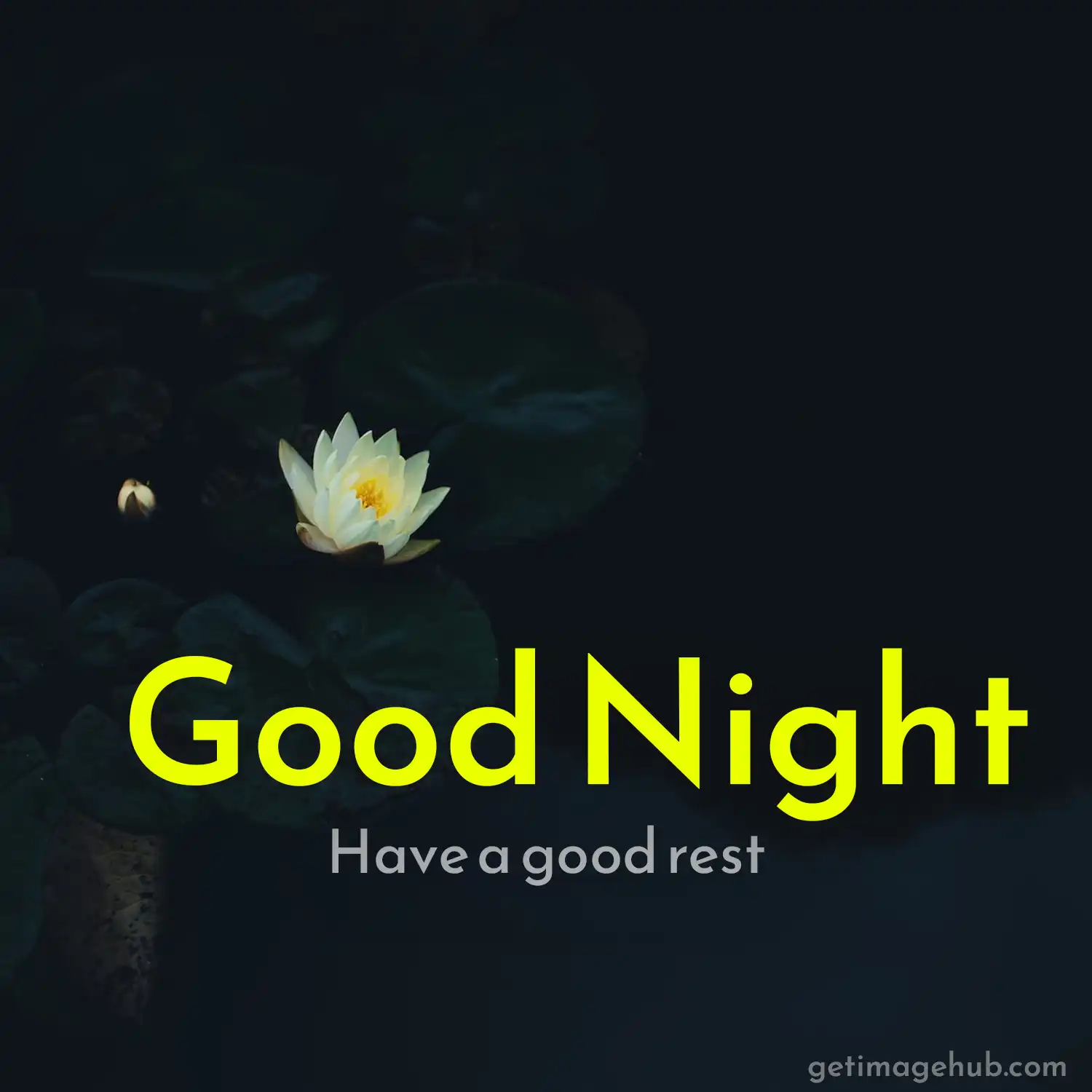 Best Good Night Pic HD