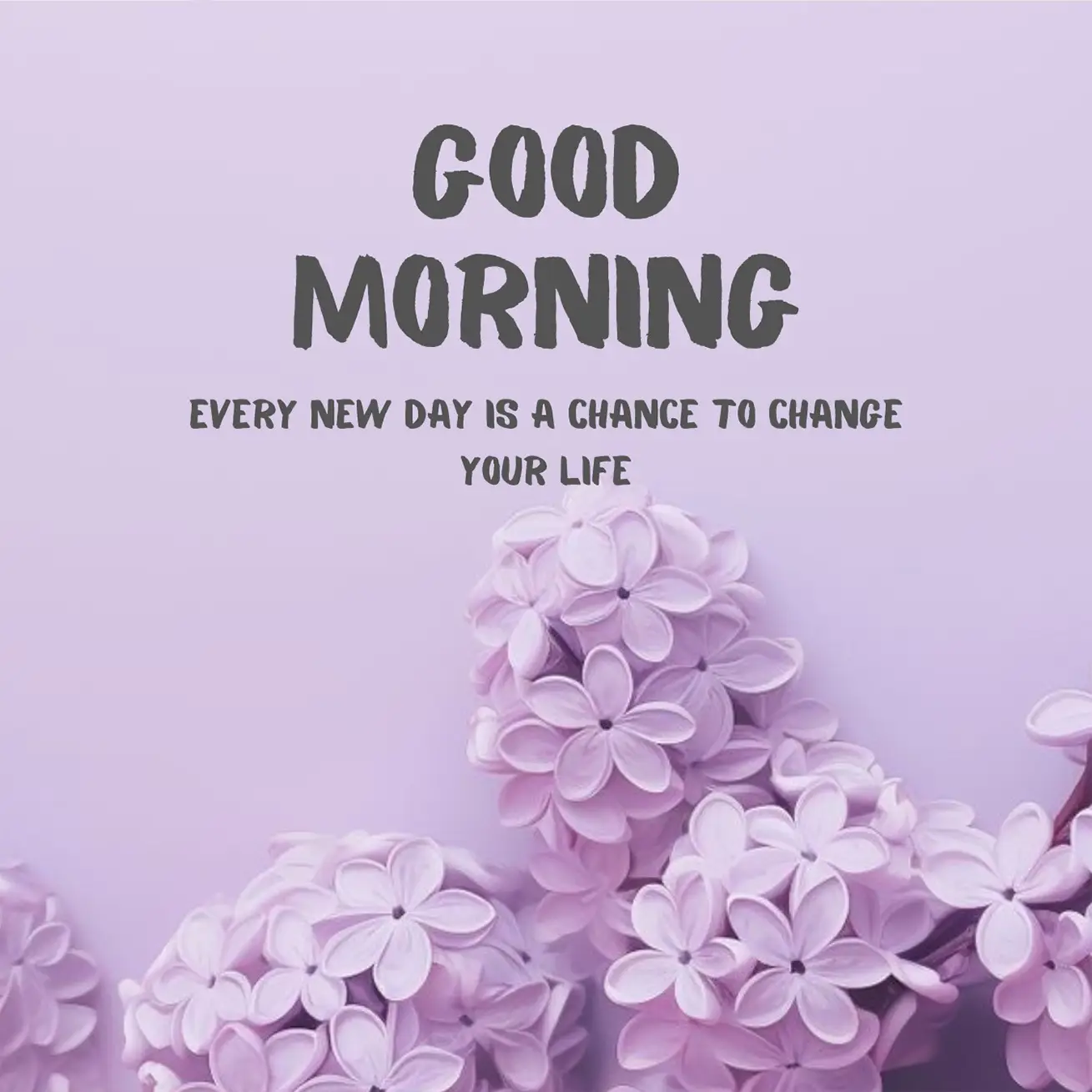 Fresh Good Morning Images