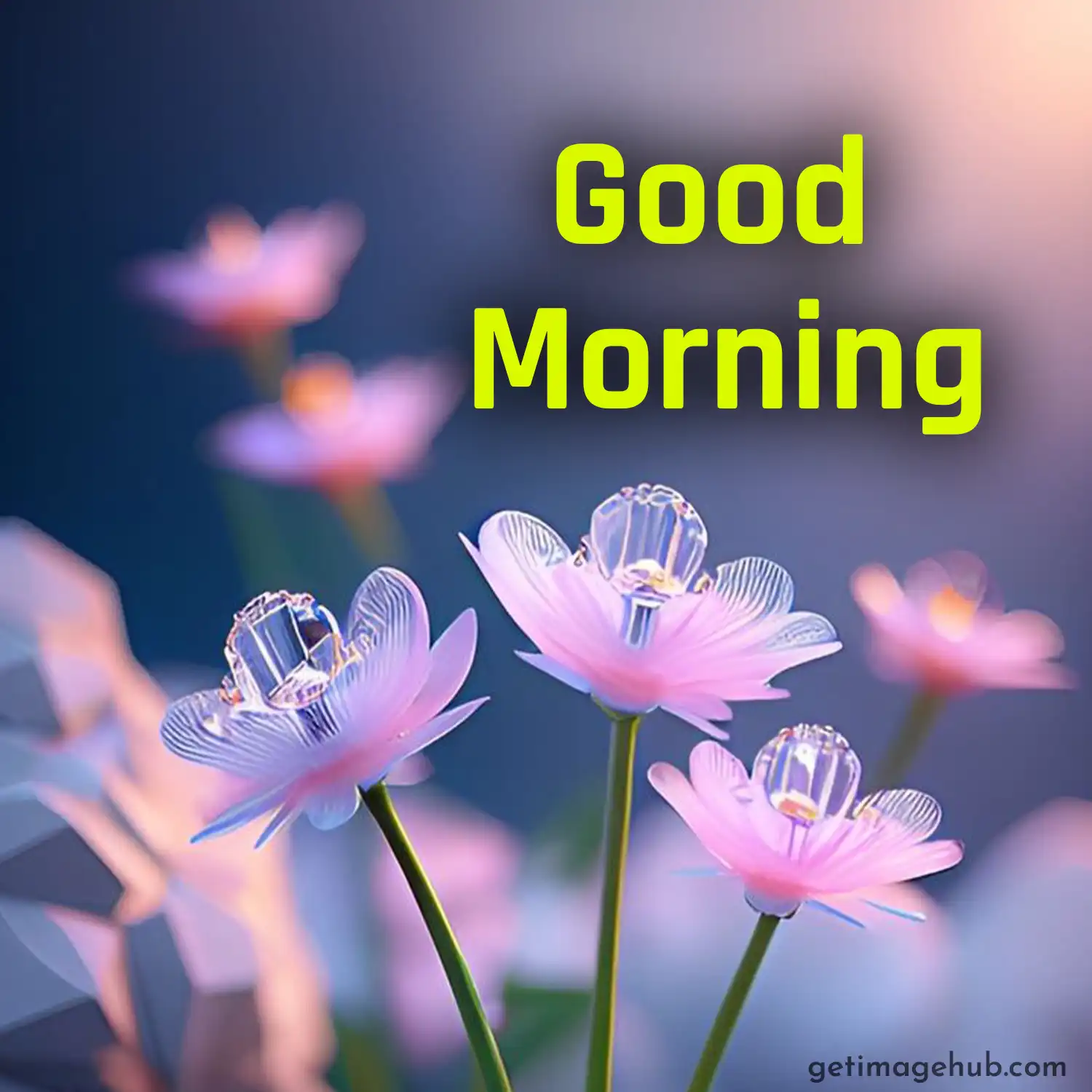 Good Morning Love Image