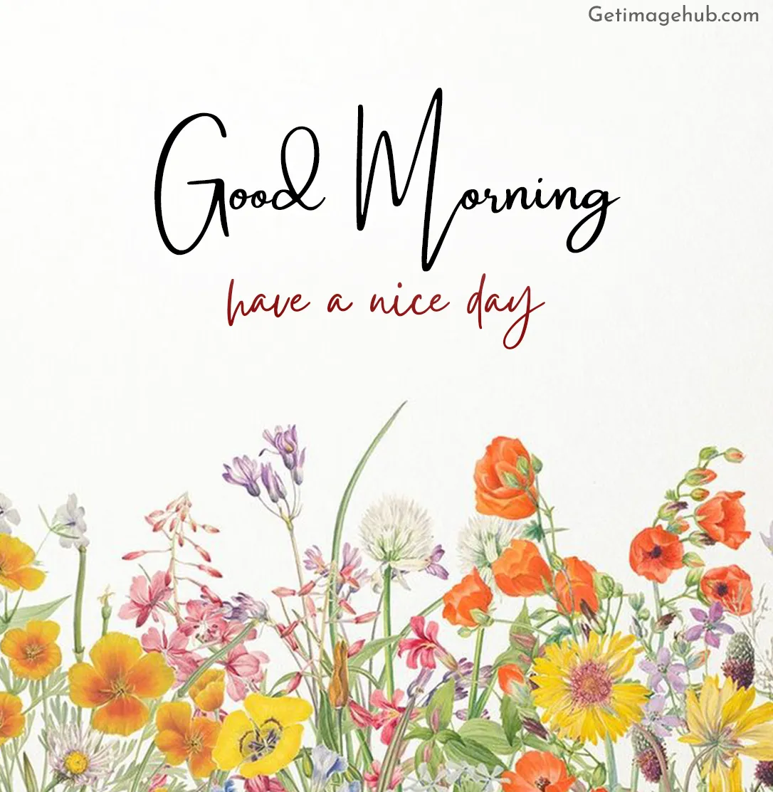 Good Morning Picture HD