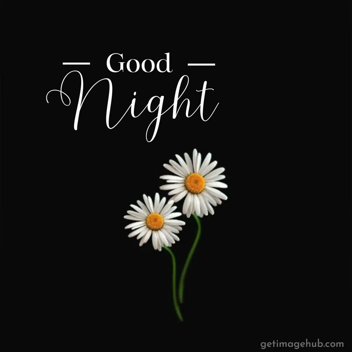 Good Night Image Pic