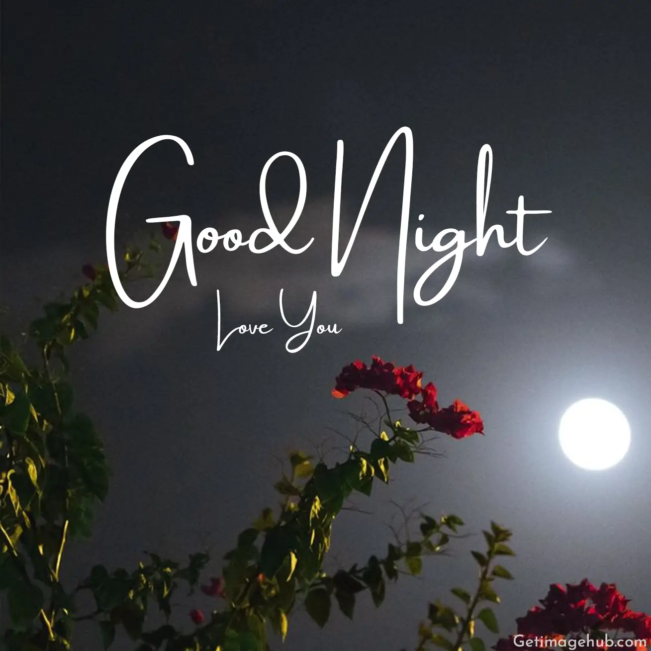 Good Night Love