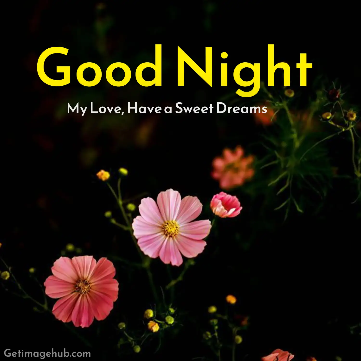 Good Night My Love