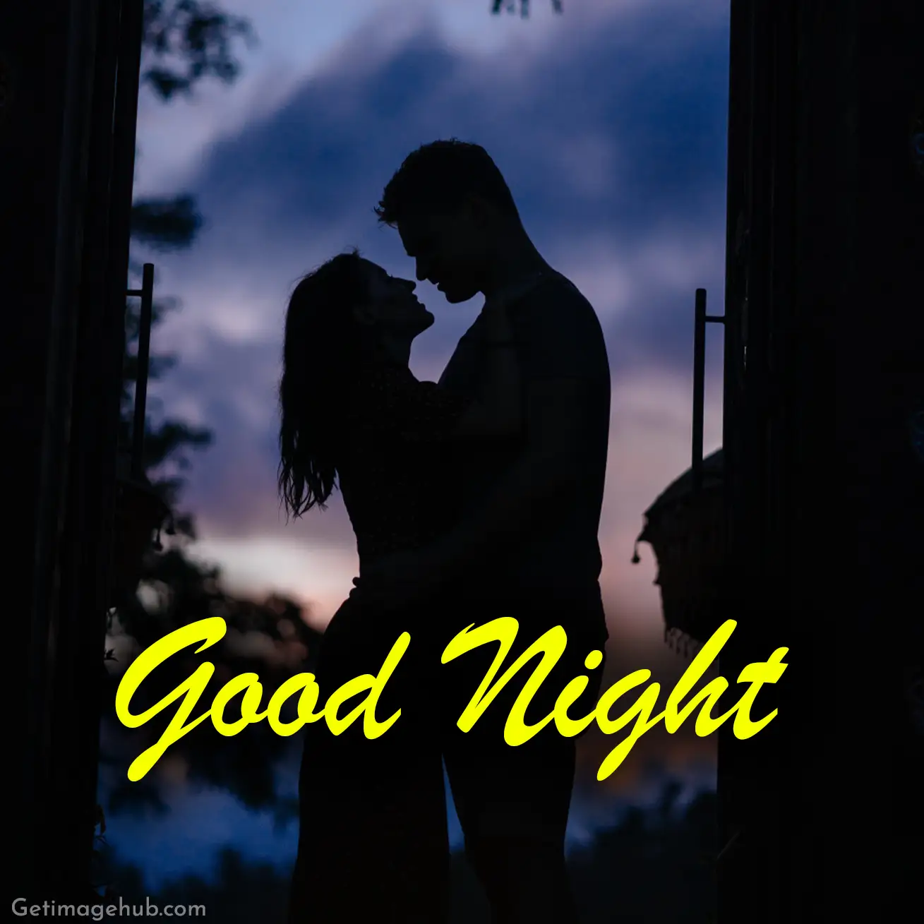 Good Night My Love