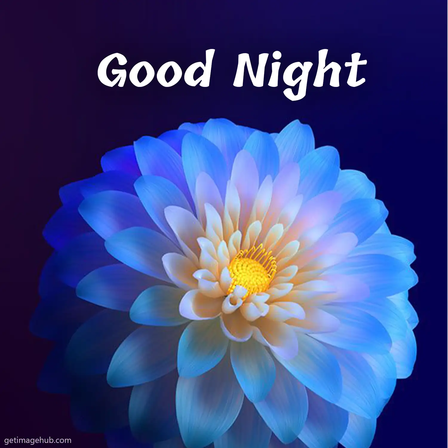 Good Night