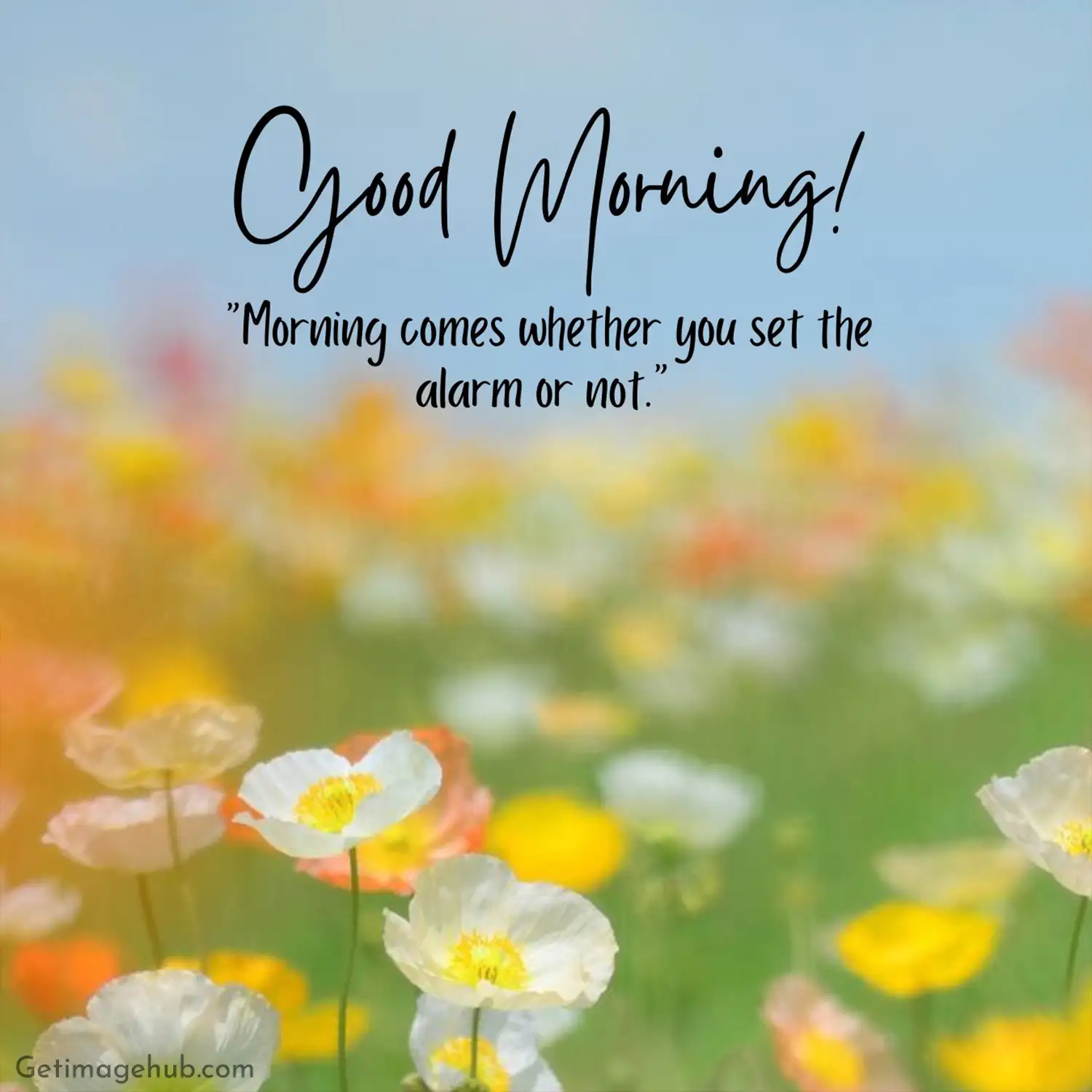 New Good Morning Images Positive Words