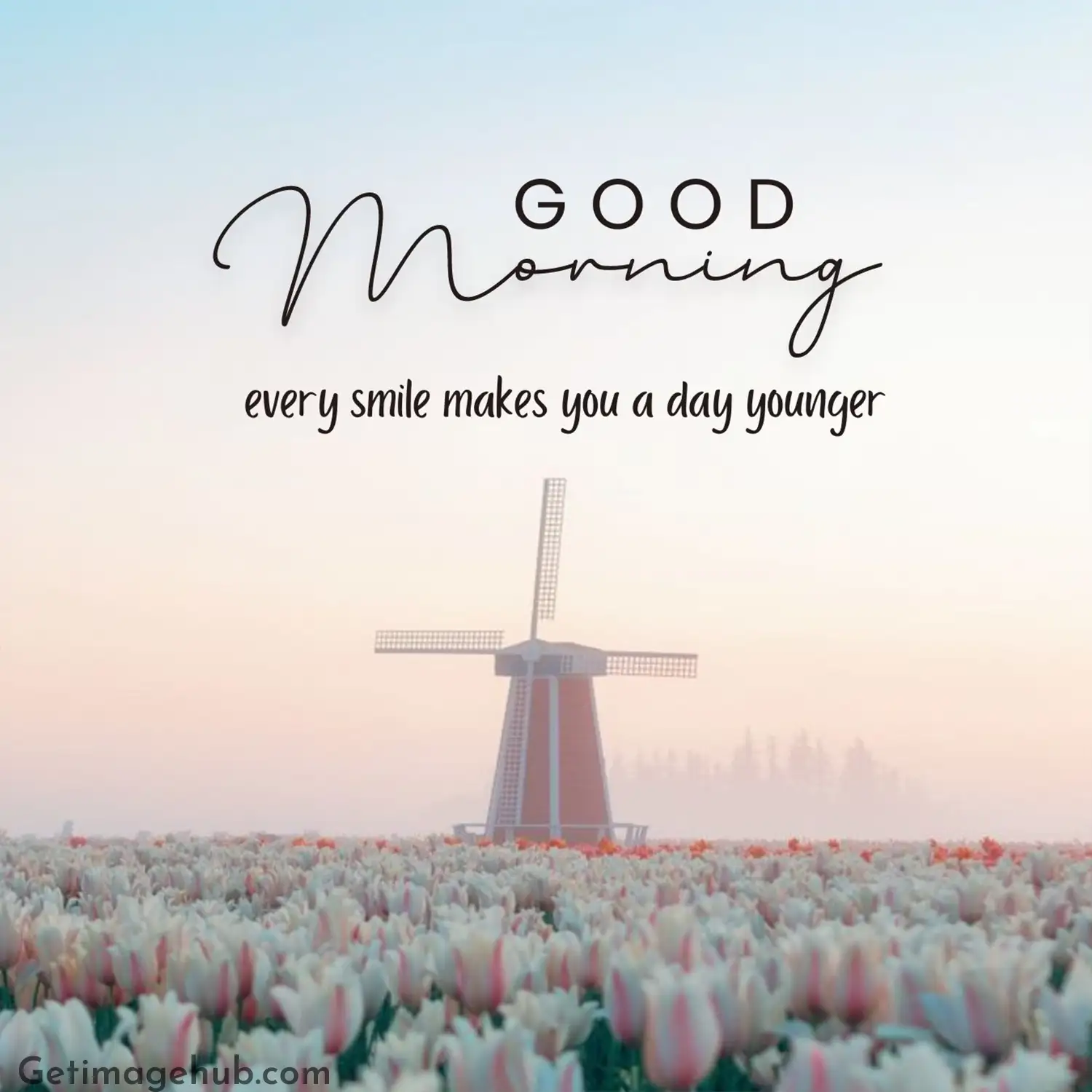 New Good Morning Pic