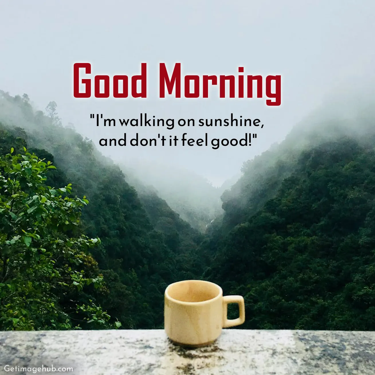 New Good Morning Quotes