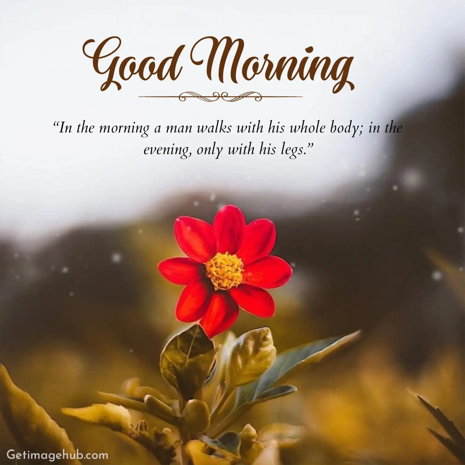 Positive Words Good Morning Images