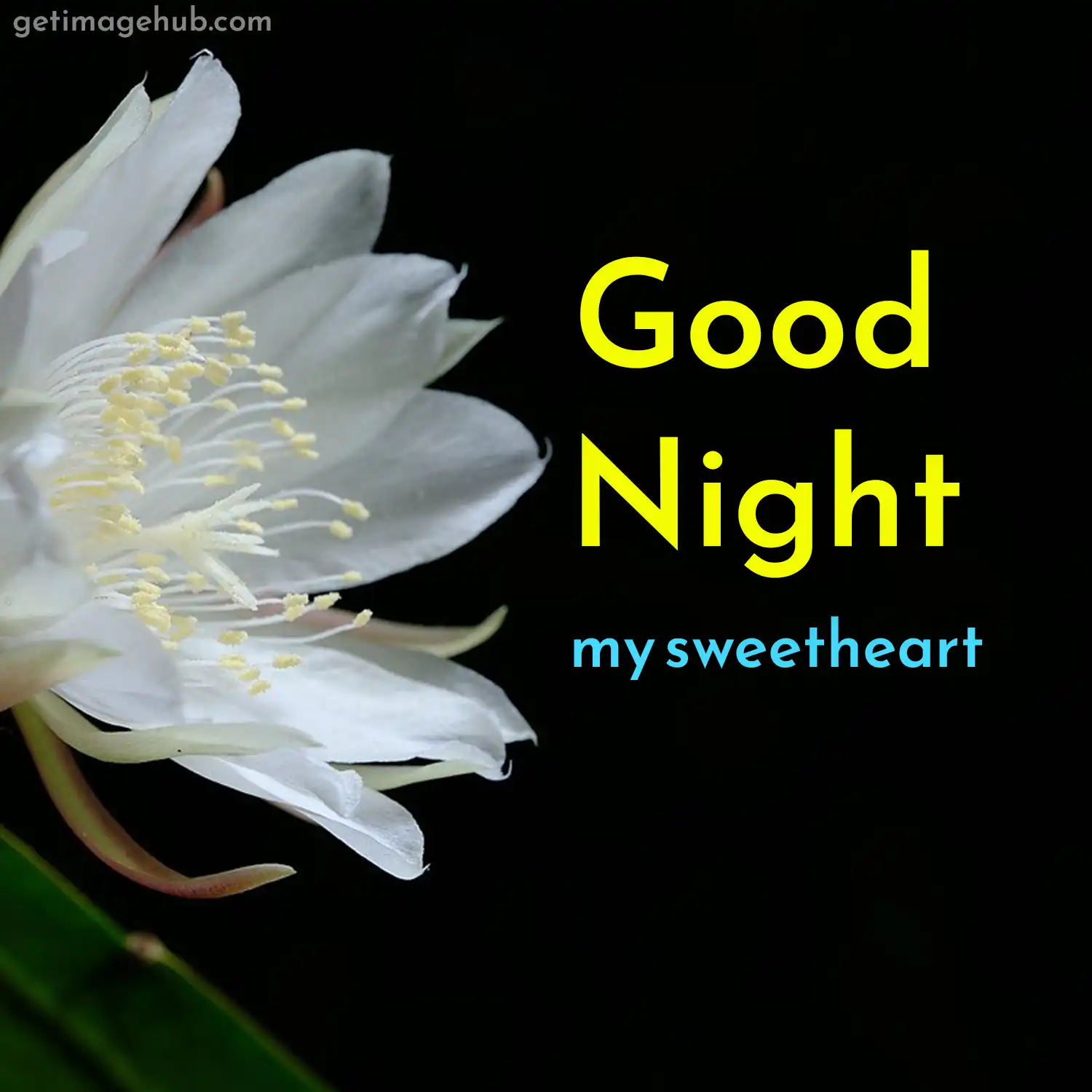 good night love image picture
