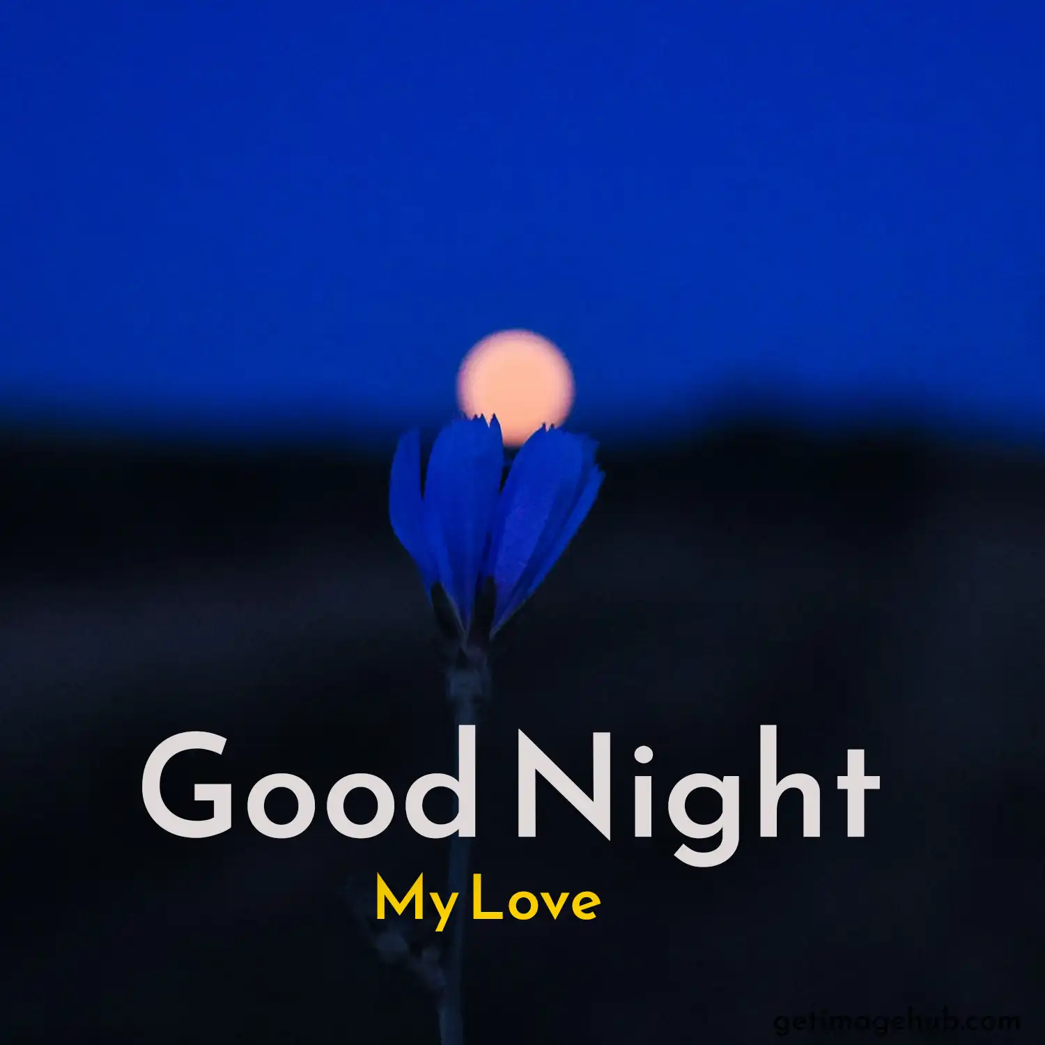good night love image