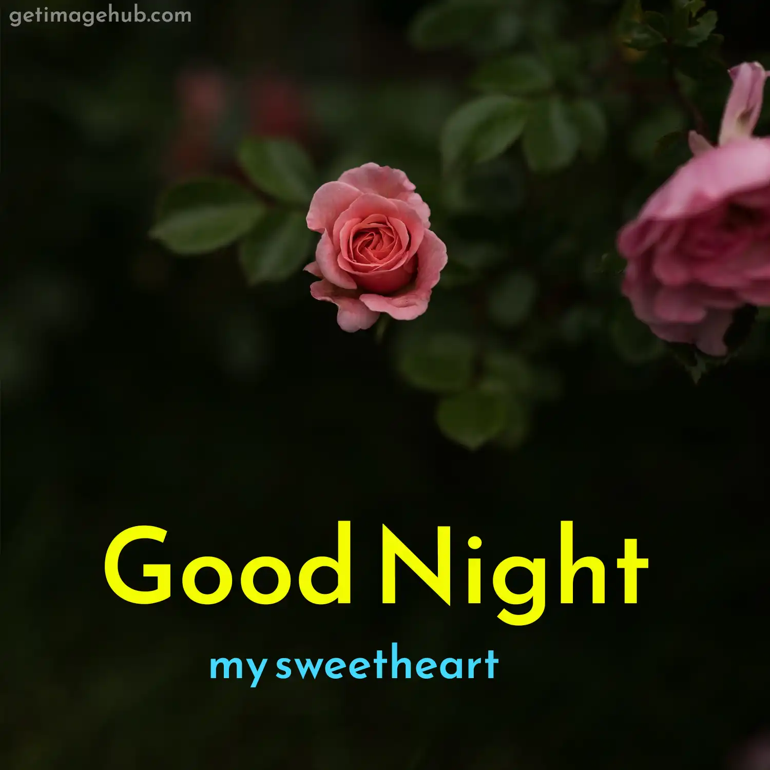 good night love pic
