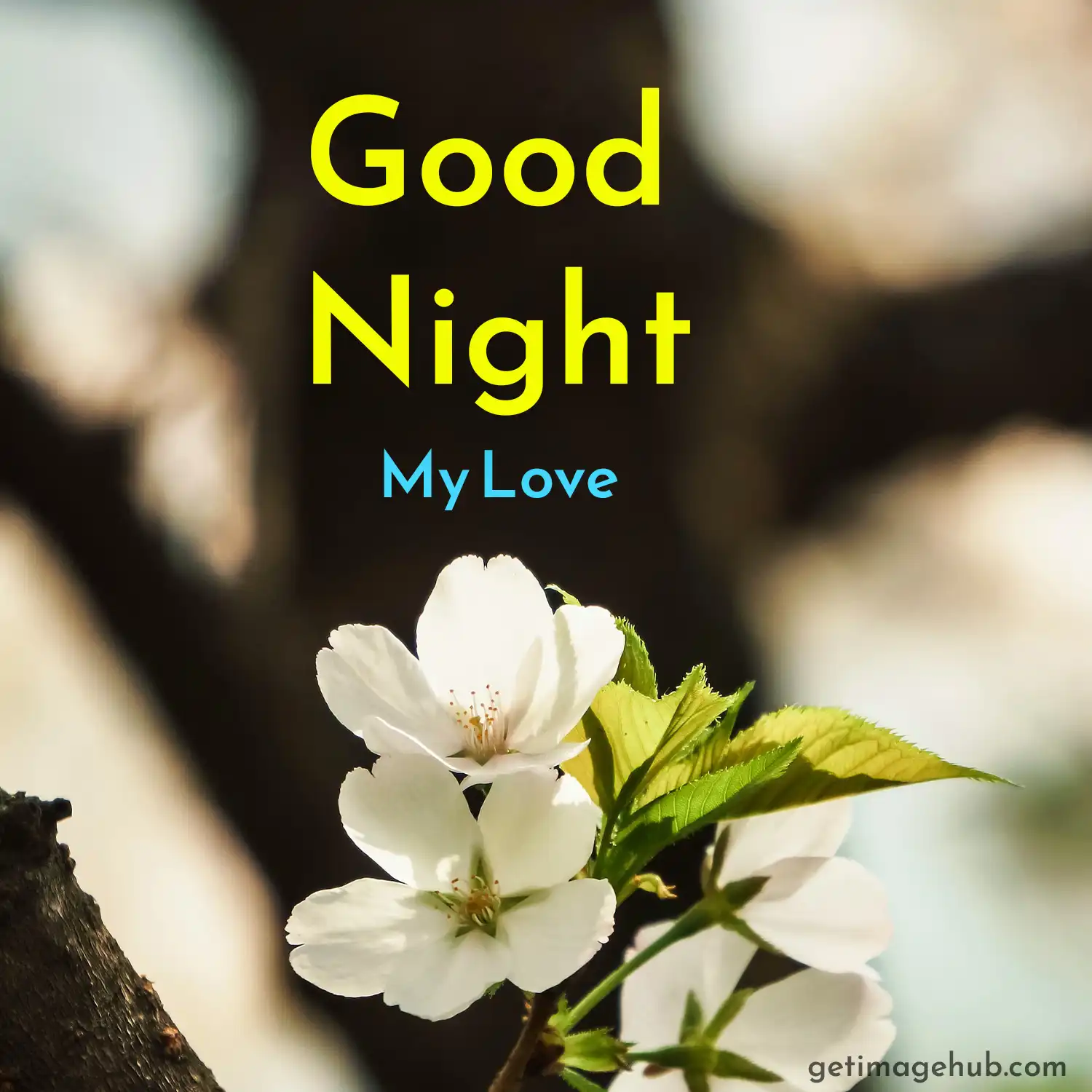 good night love