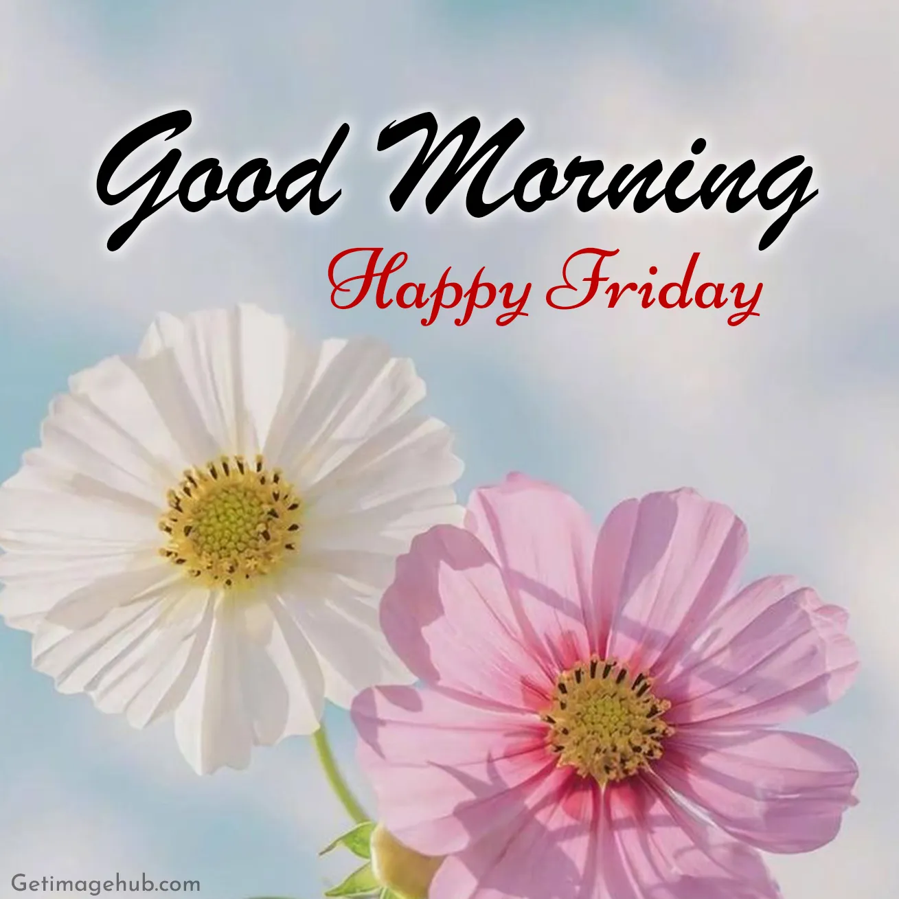 Friday Good Morning Pic