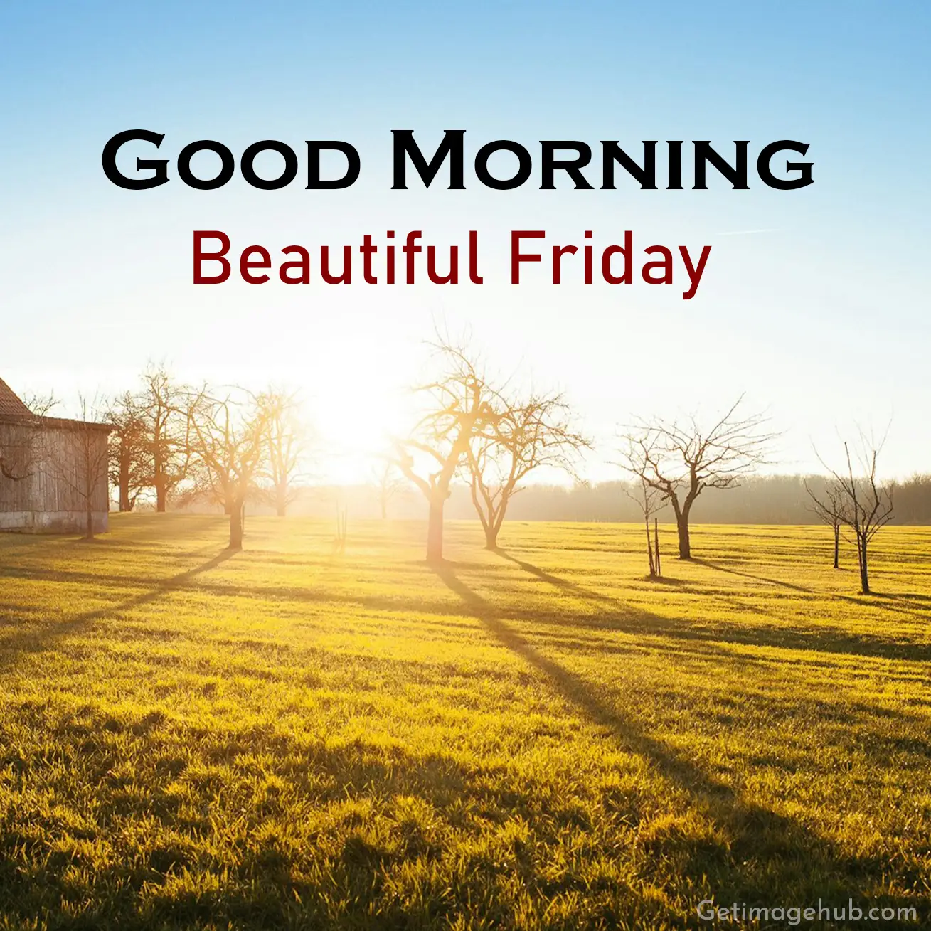 Good Morning Happy Friday Picture