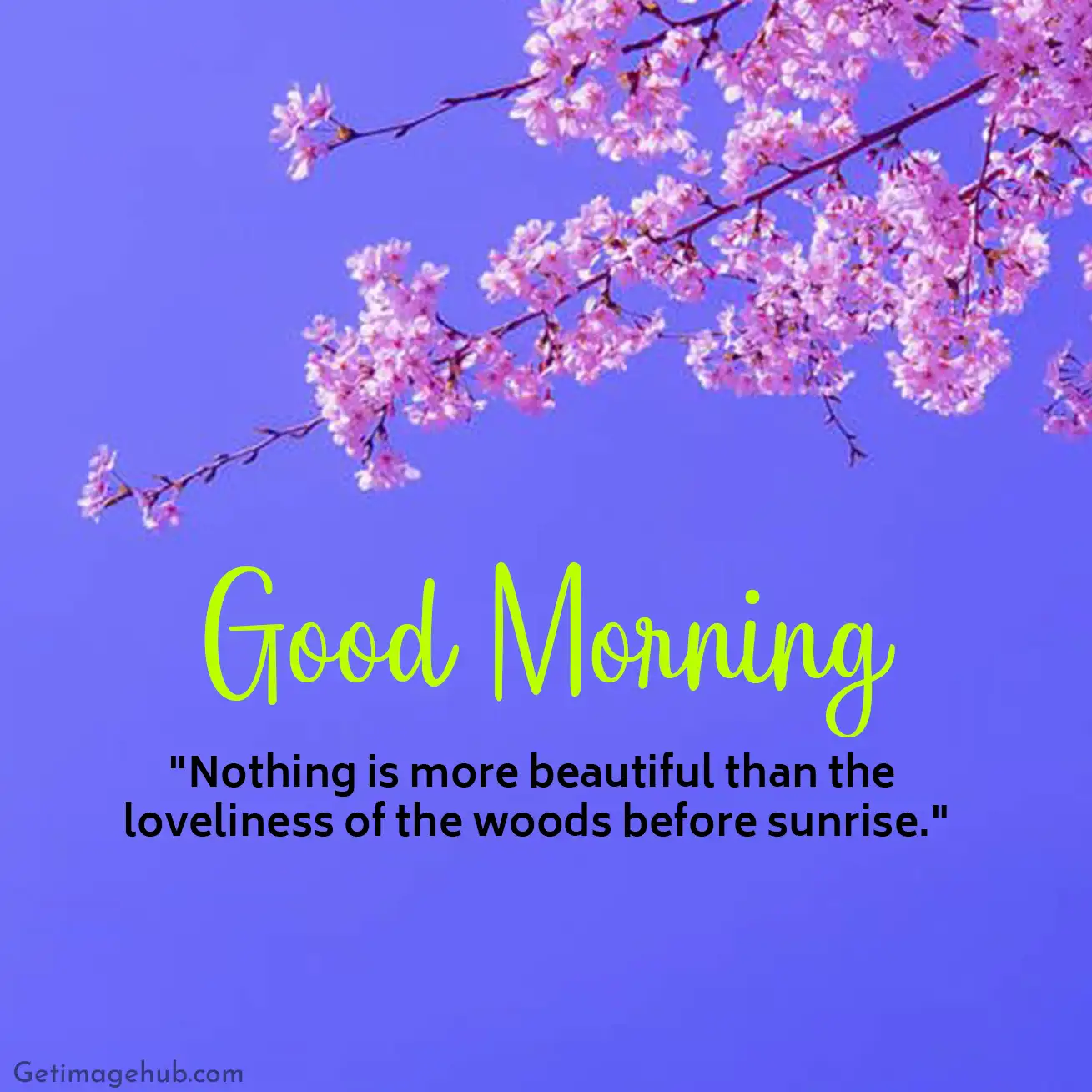 Good Morning Images with Positive Words