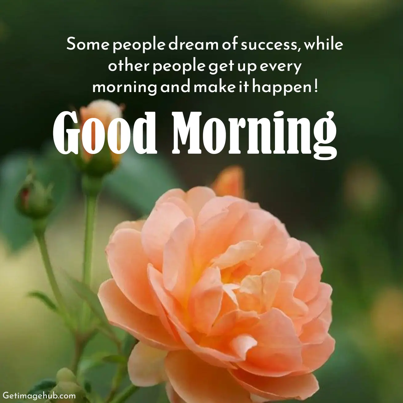 Good Morning Images with Positive Words