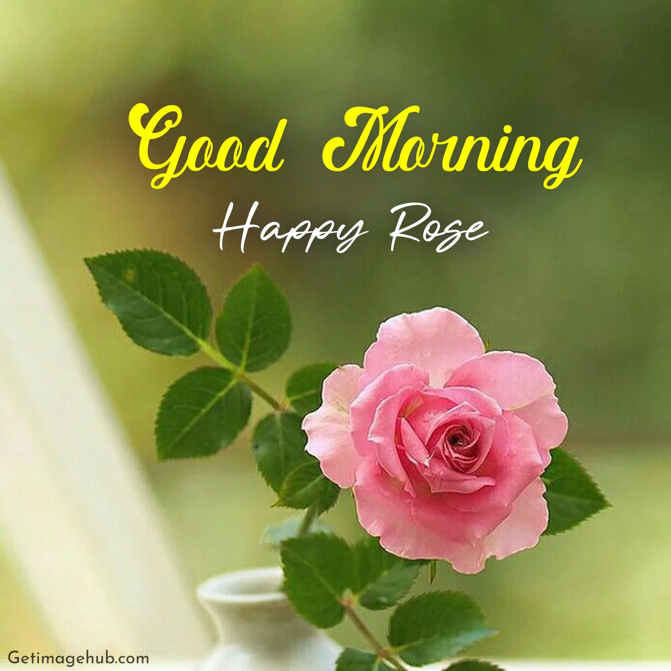 Good Morning Rose Image