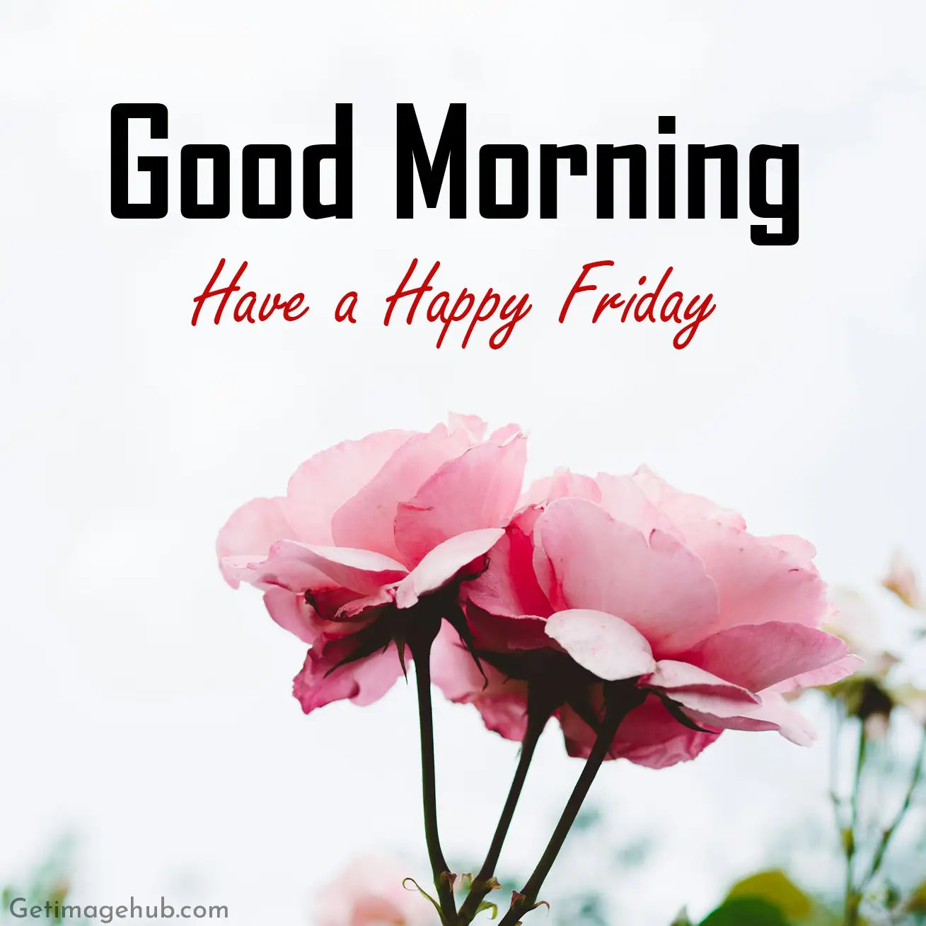 Happy Friday Good Morning