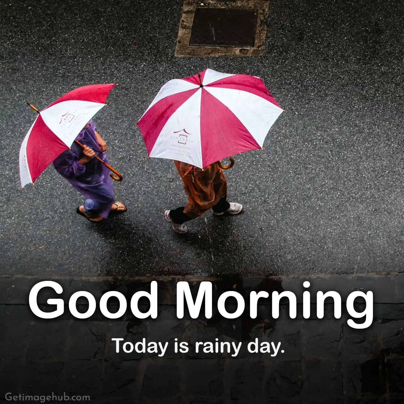 101+ Rainy Good Morning Images, Rainy Day Morning 2024