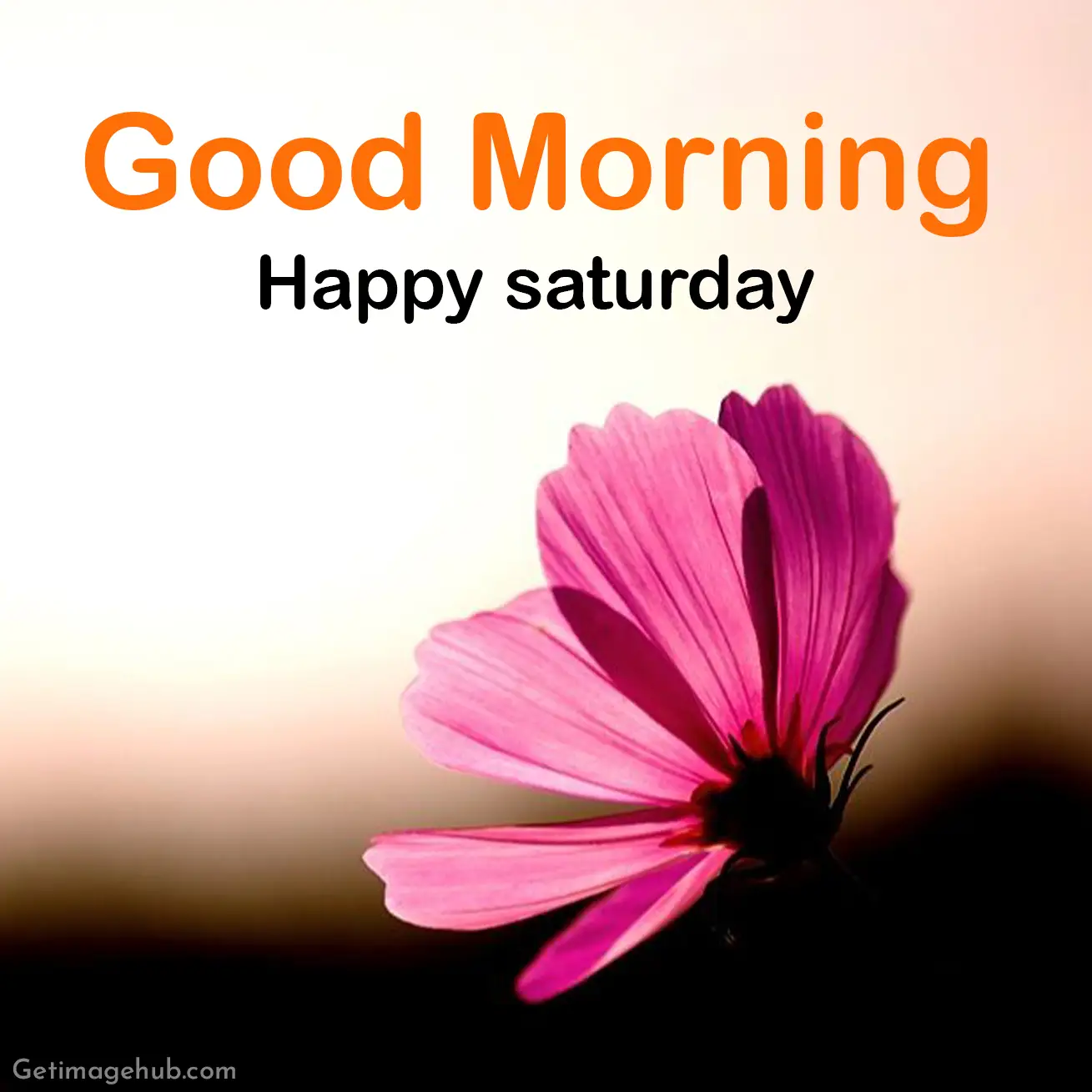 good morning saturday image