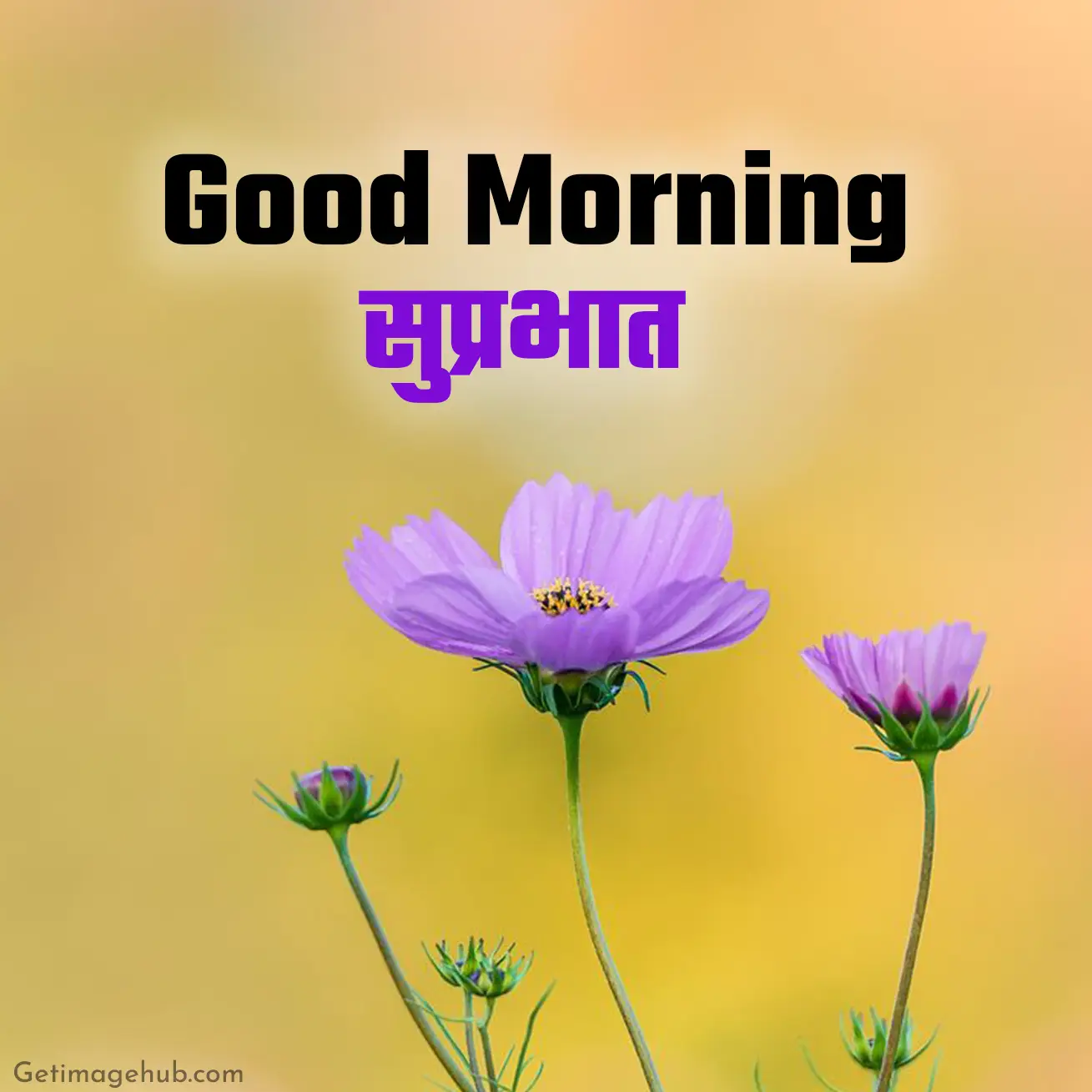 Good Morning Images in Hindi