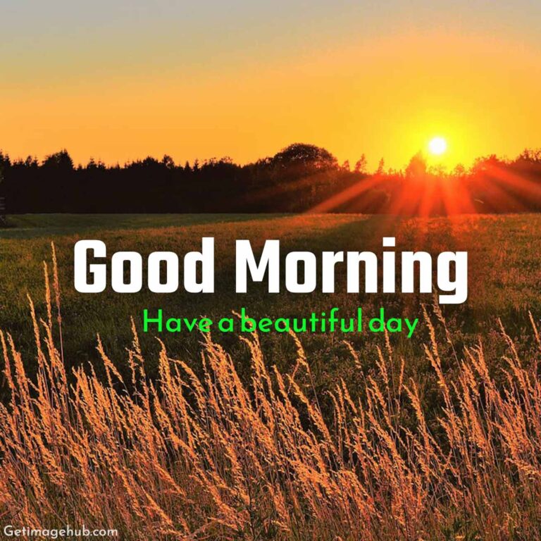 Good Morning Sunrise Pic HD