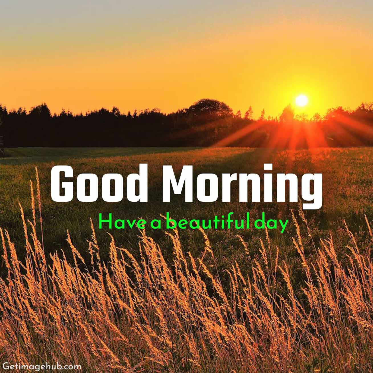 Good Morning Sunrise Pic HD