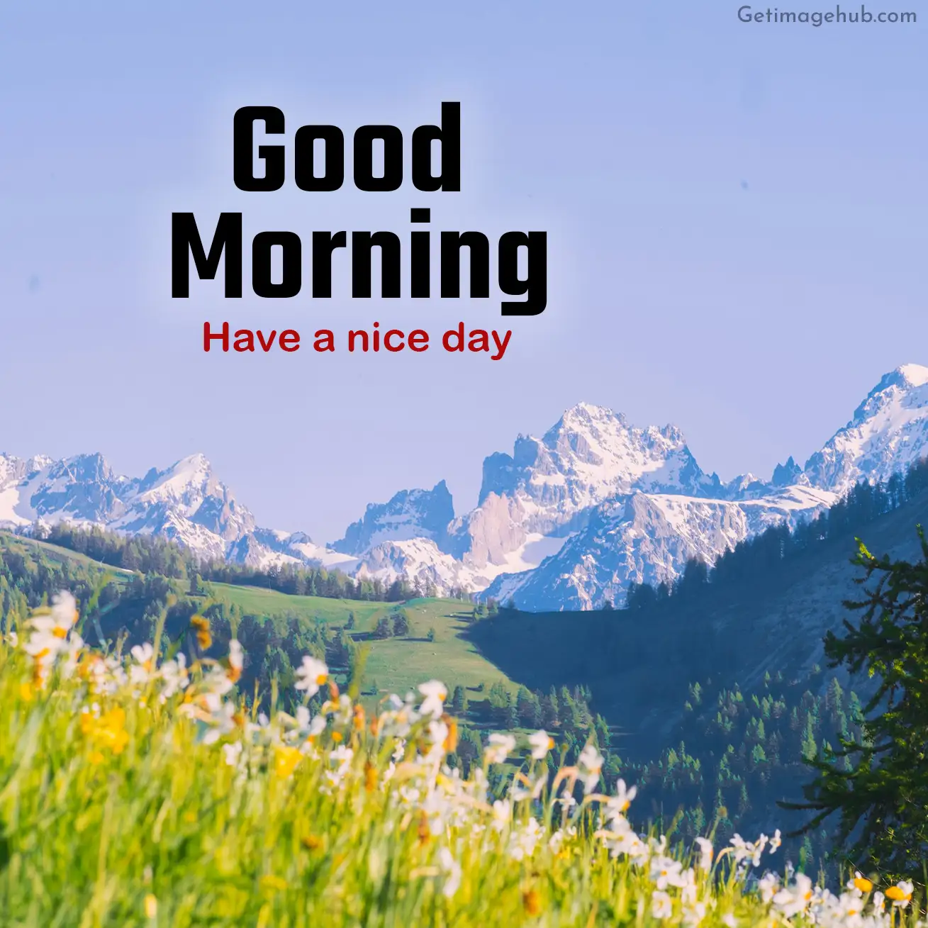 New Good Morning Mountain Image