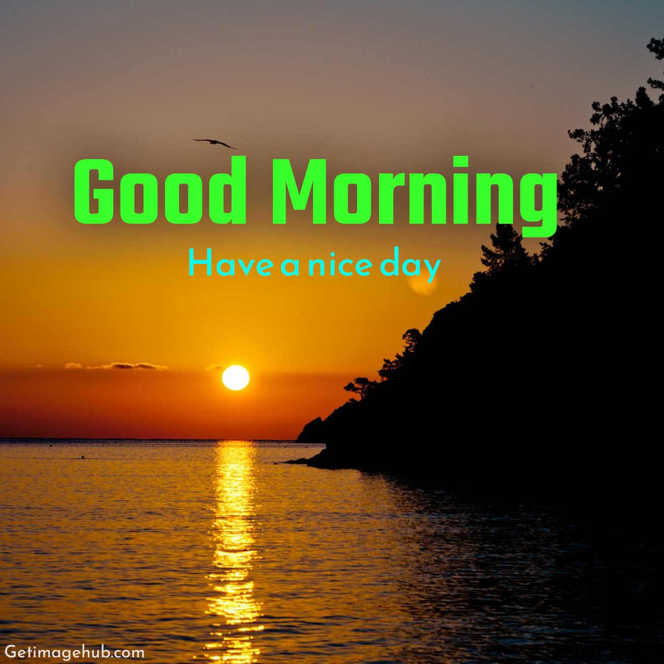 New Good Morning Sunrise Image