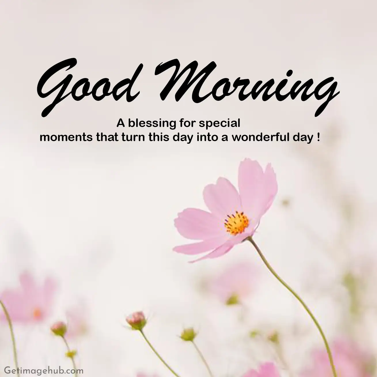 Good Morning Blessing Image Pic