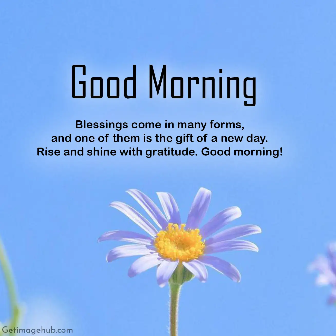 Good Morning Blessings Picture