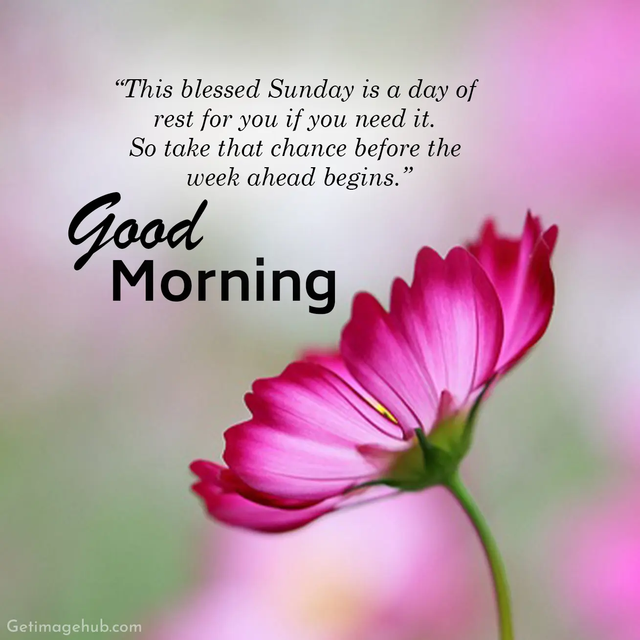 Good Morning Sunday Blessings Images