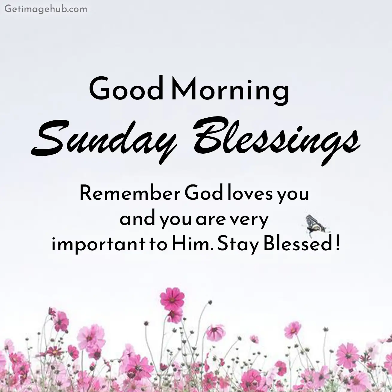 Good Morning Sunday Blessings Photos