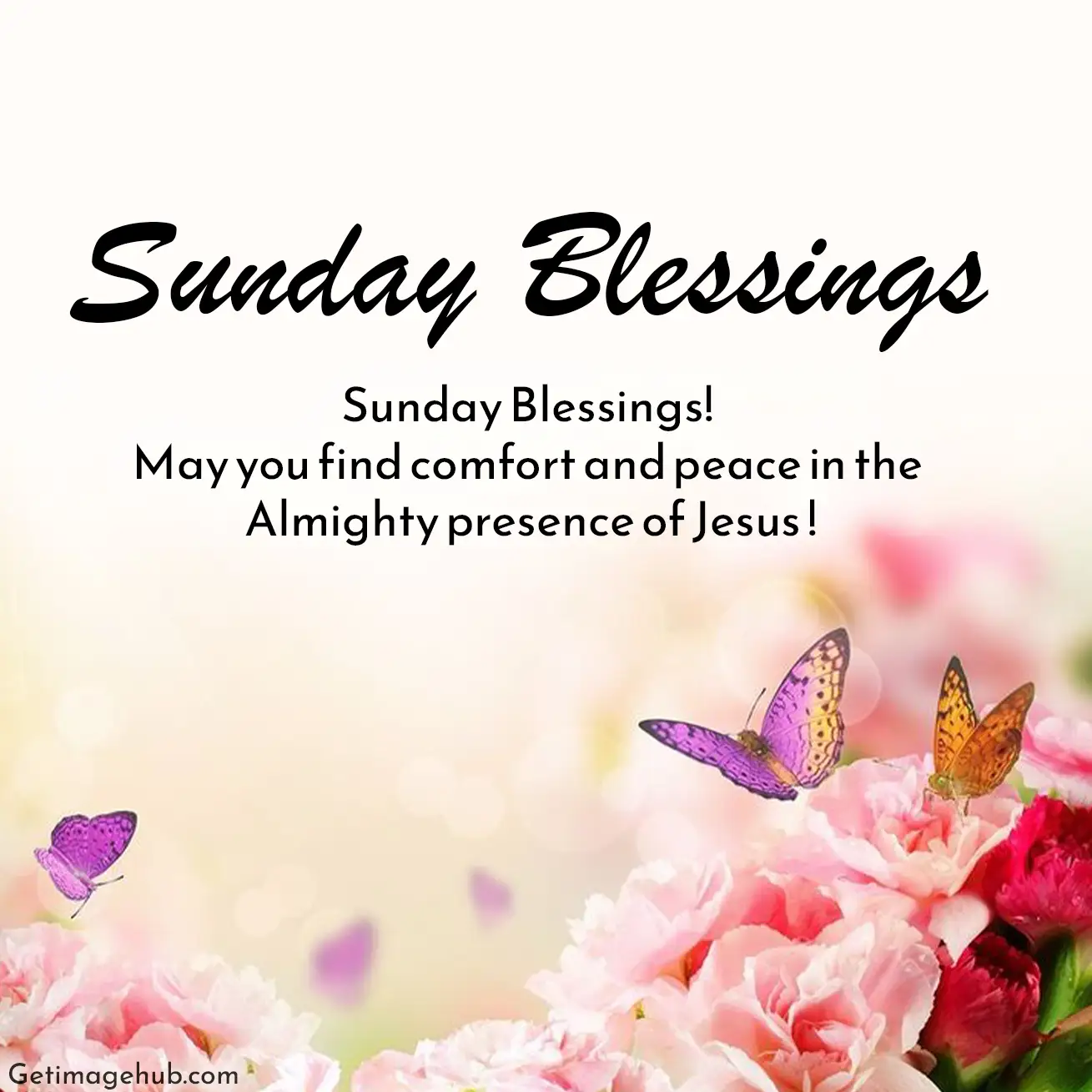 Good Morning Sunday Blessings