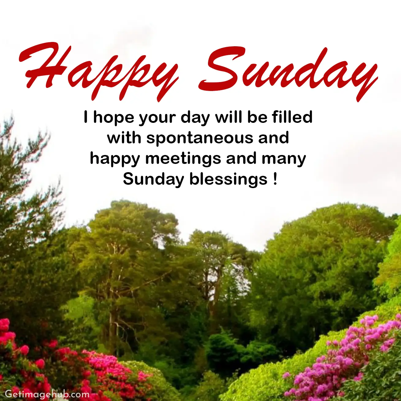 Happy Sunday Blessings