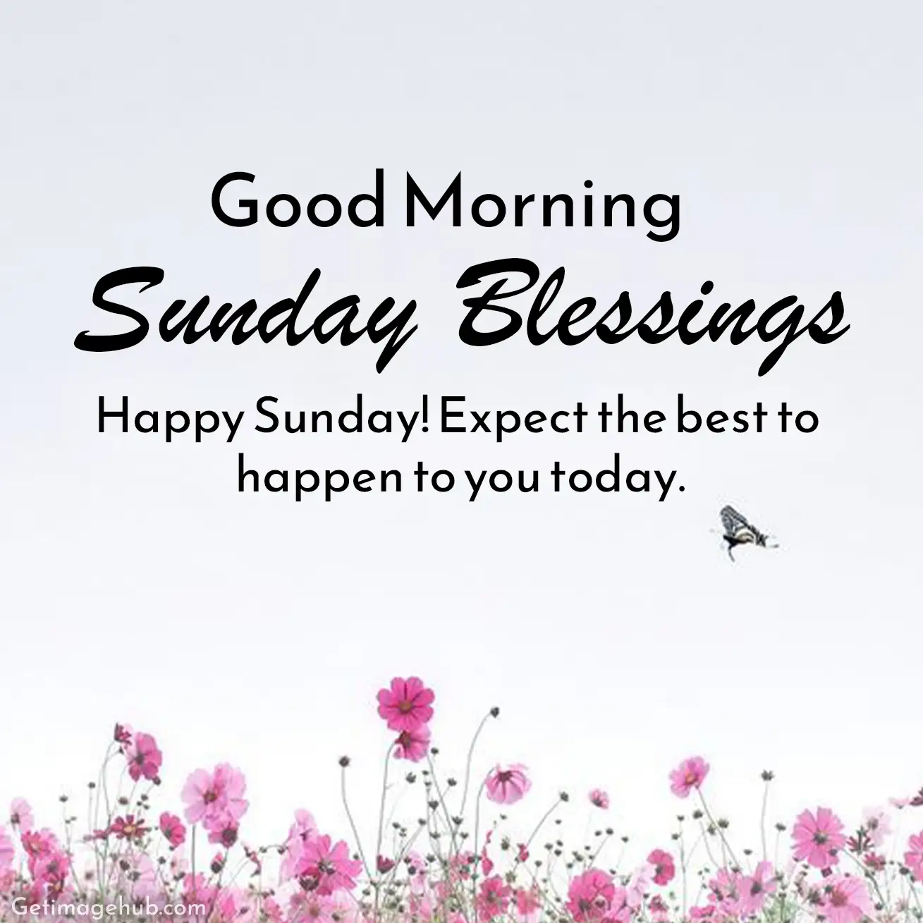 New Good Morning Sunday Blessings Image