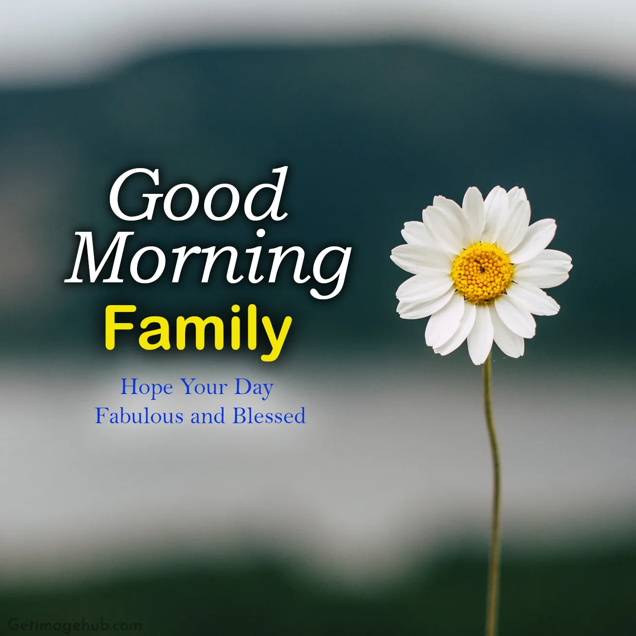 Good Morning Family Pictures 2024