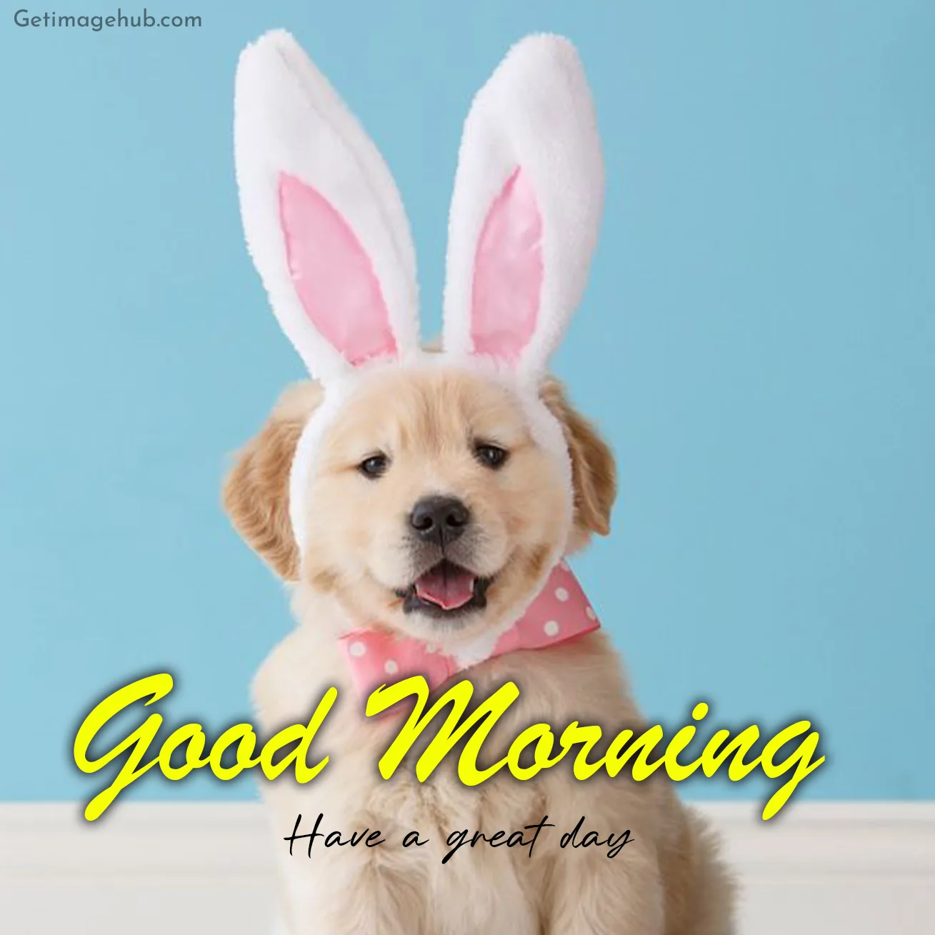 Good Morning Puppy Image