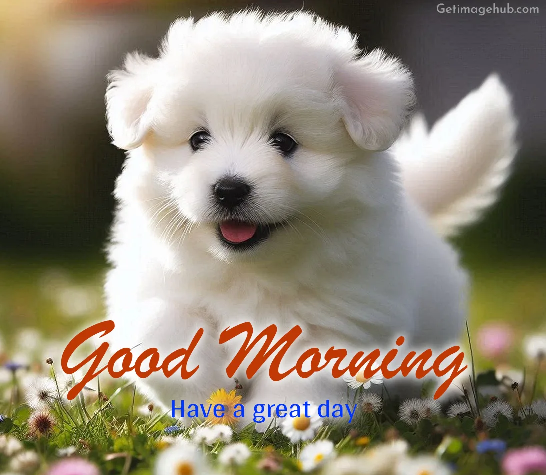 Good Morning Puppy Pic