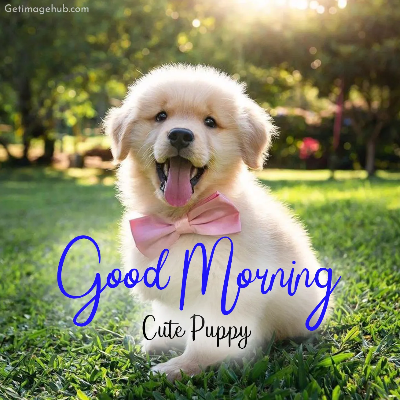 Good Morning Puppy Pictures