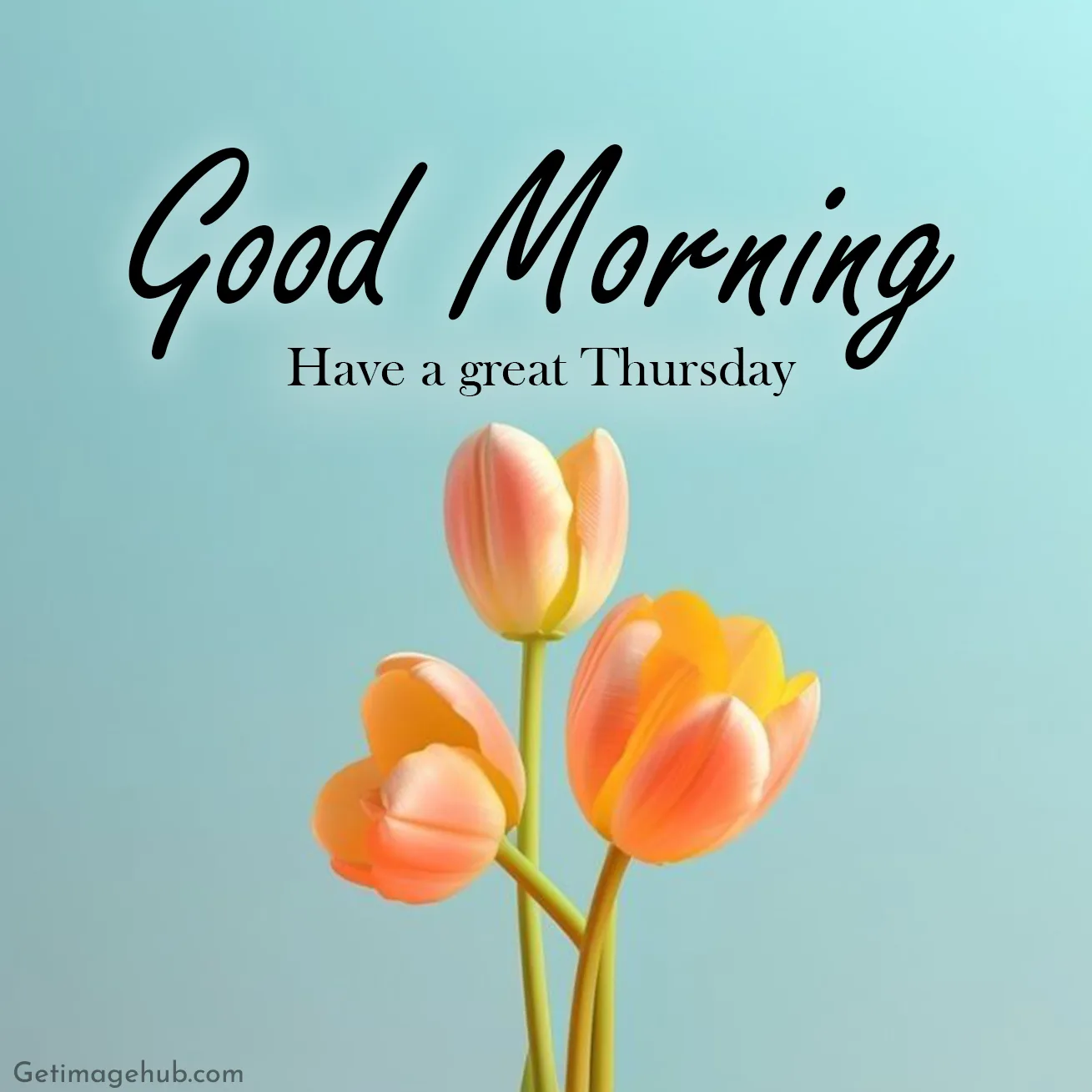 Good Morning Thursday